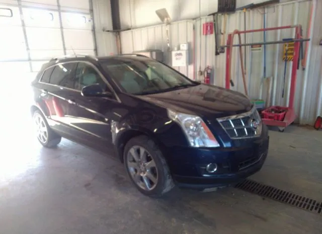 cadillac srx 2010 3gyfnfey8as593415