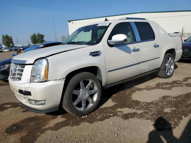 cadillac escalade e 2010 3gyvknef7ag279027