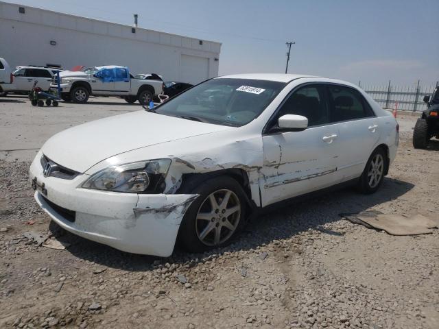 honda accord 2003 3hgcm56313g704919