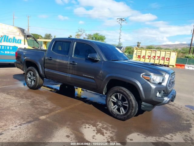 toyota tacoma 2019 3tmaz5cn3km097080