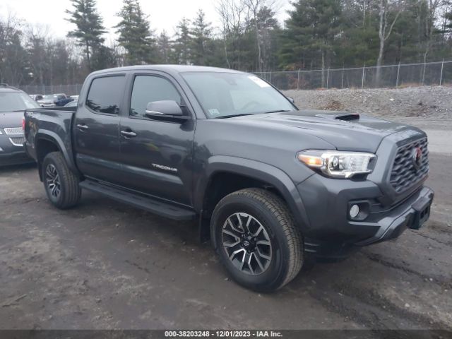 toyota tacoma 2023 3tmcz5an4pm599812