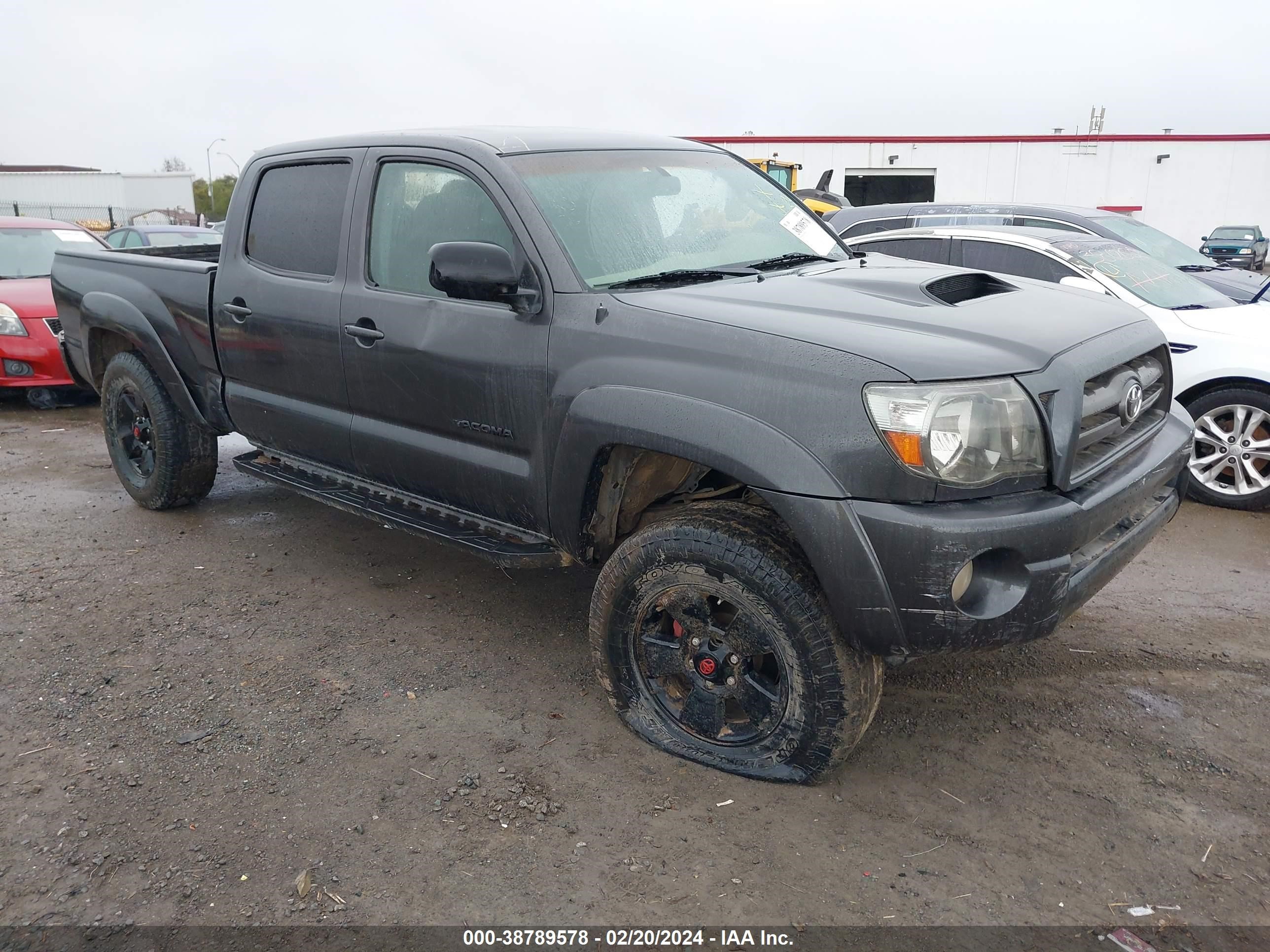 toyota tacoma 2009 3tmku72n49m023077