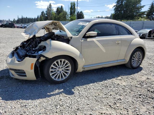 volkswagen beetle 2019 3vwfd7at3km705288