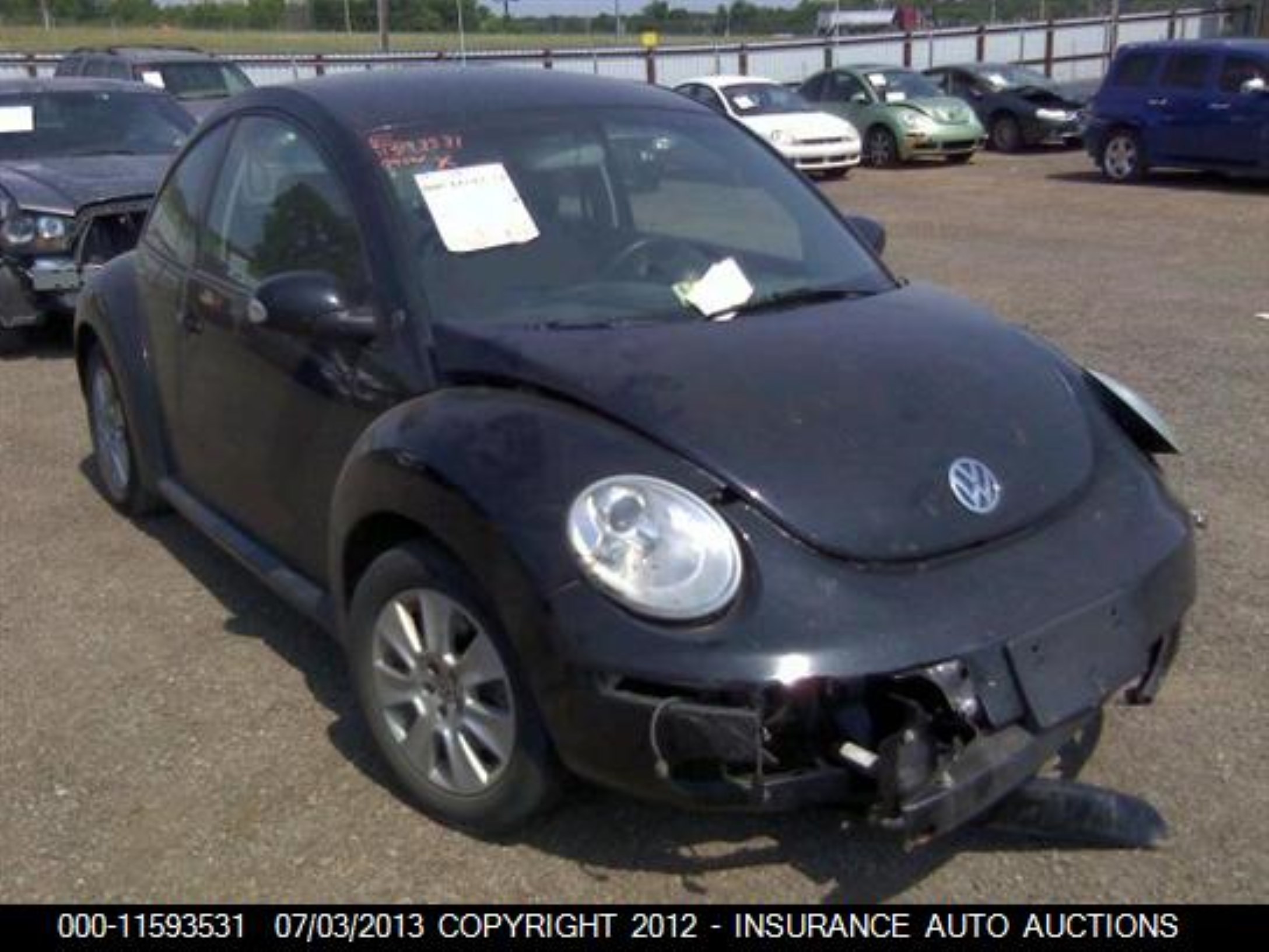 volkswagen beetle 2009 3vwpw31c49m512407