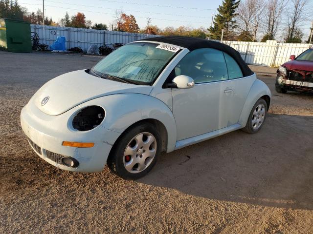 volkswagen new beetle 2006 3vwrf21y36m305470