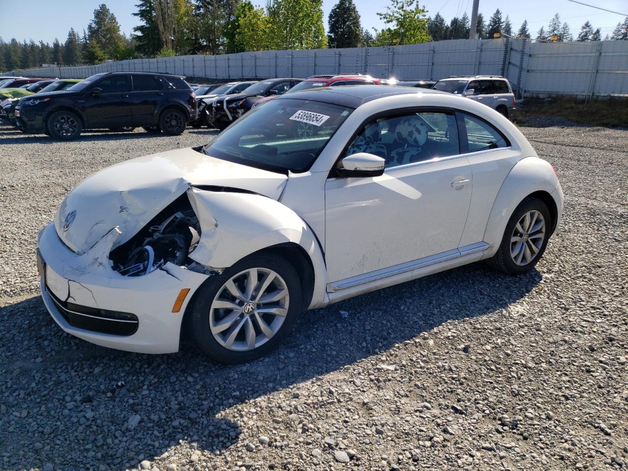 volkswagen beetle 2013 3vwrl7at5dm646280