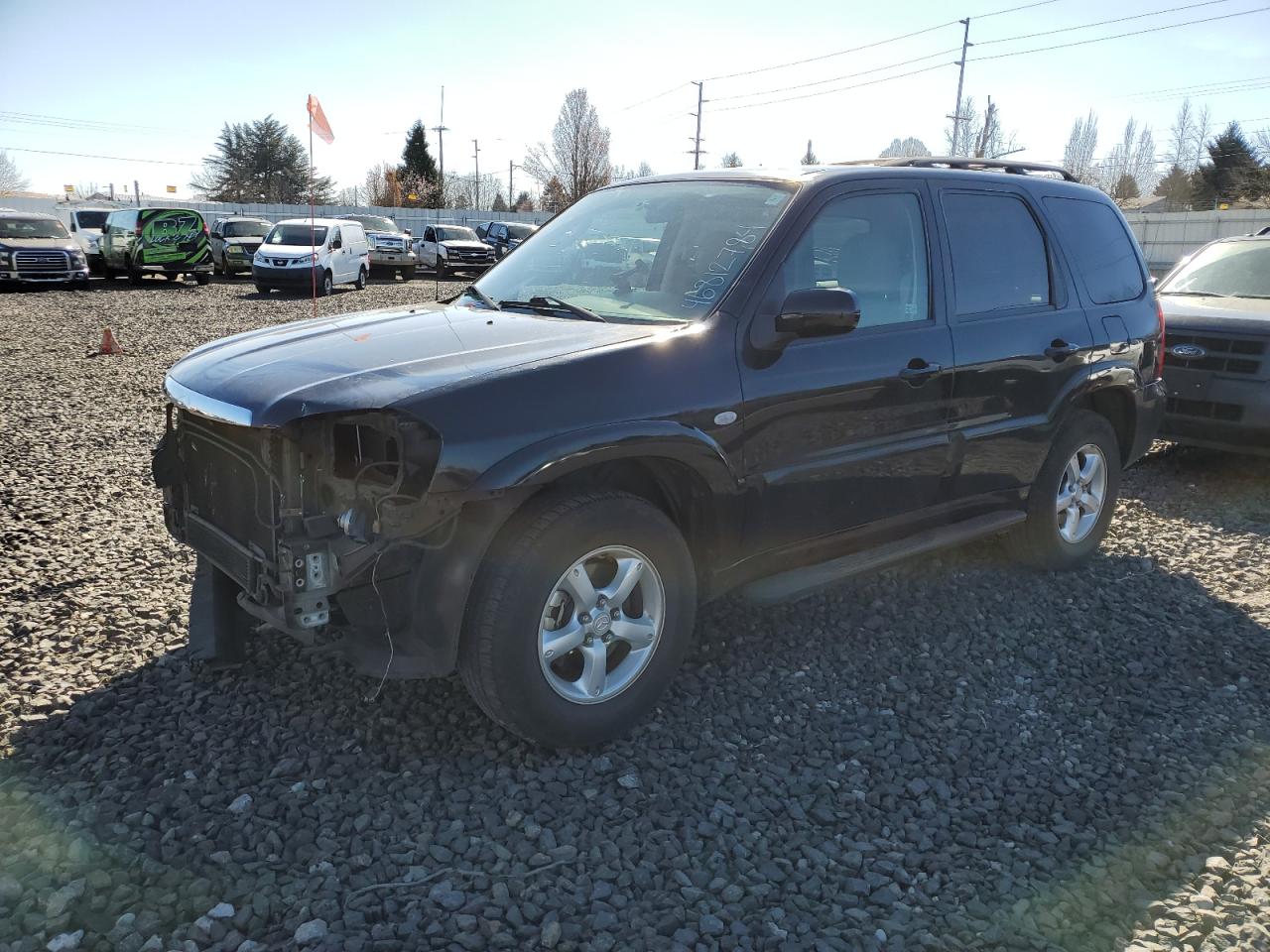 mazda tribute 2006 4f2cz94136km00013