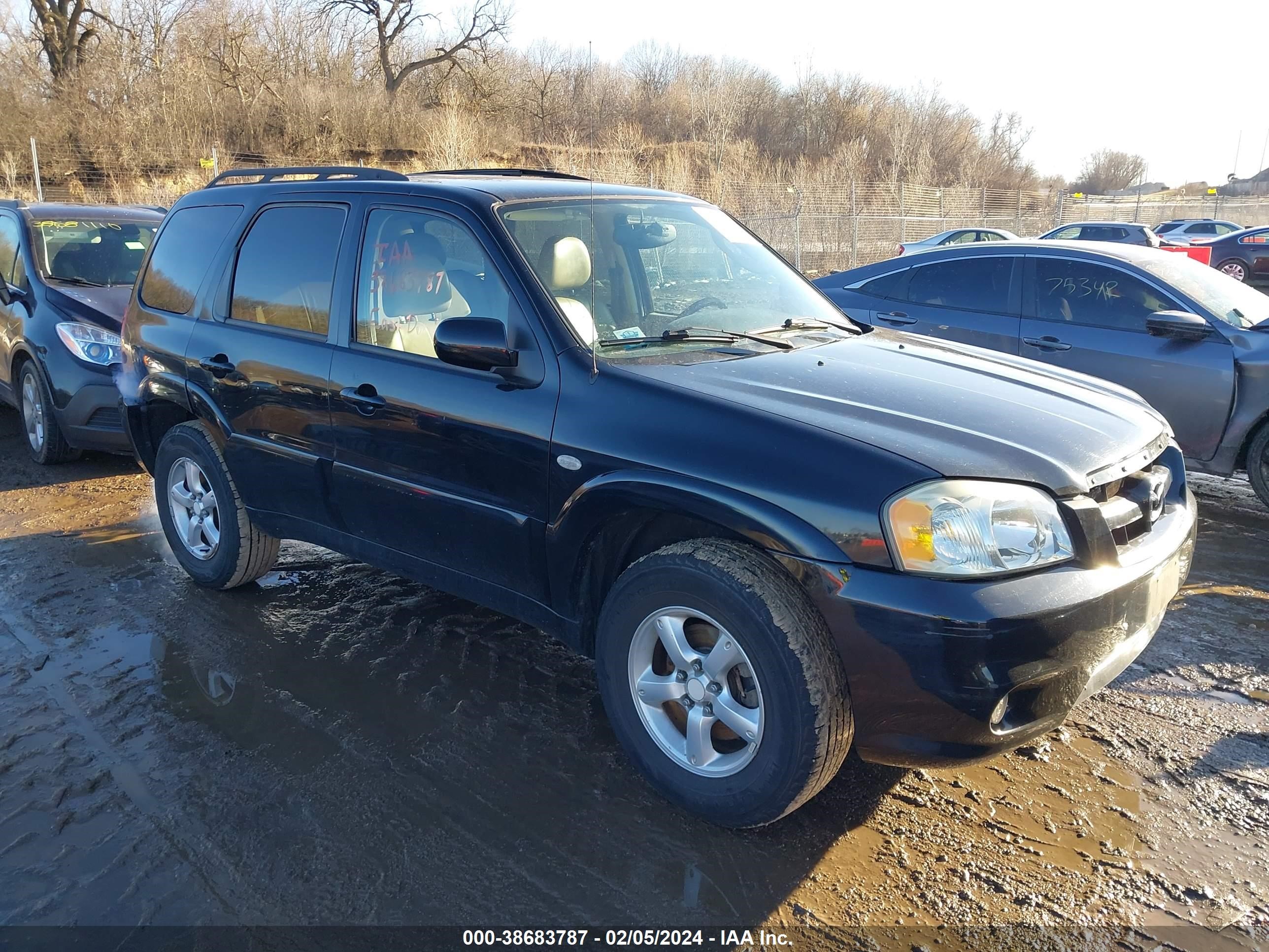 mazda tribute 2006 4f2yz96116km37628