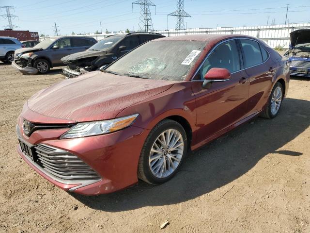 toyota camry l 2019 4t1b11hk0ku824301