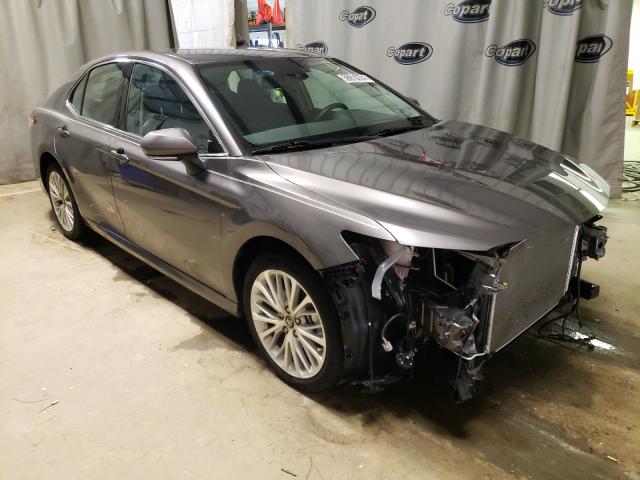 toyota camry xle 2019 4t1b11hk2ku741548