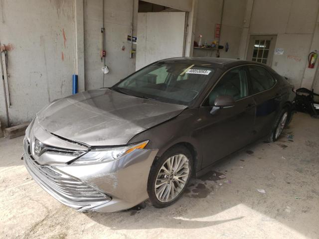 toyota camry xle 2019 4t1b11hk2ku786201