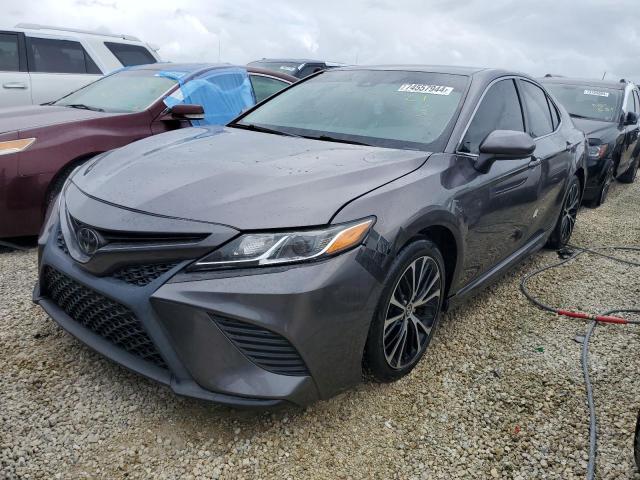 toyota camry l 2019 4t1b11hk6ku702431