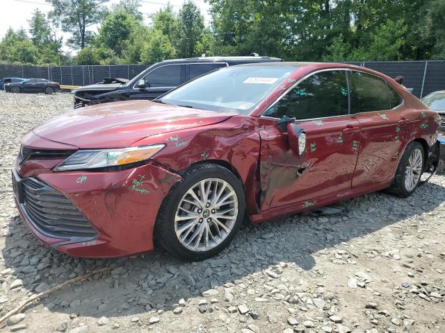 toyota camry l 2019 4t1b11hk9ku787037