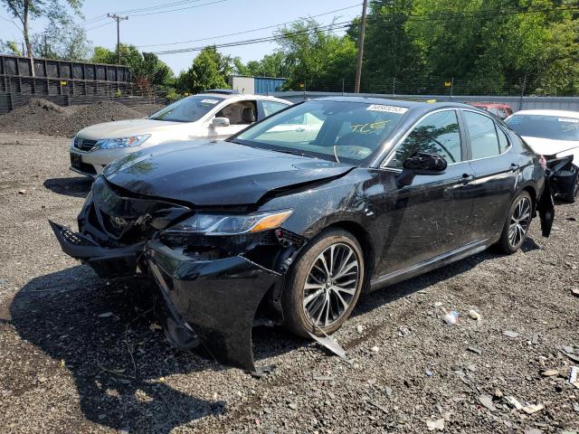 toyota camry l 2019 4t1b11hkxku162551