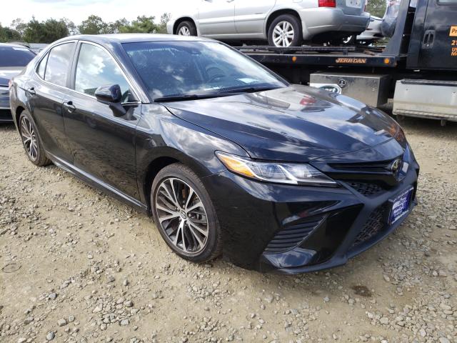 toyota camry l 2019 4t1b11hkxku230900