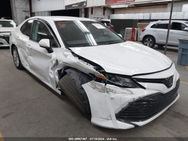 toyota camry 2019 4t1b11hkxku240391