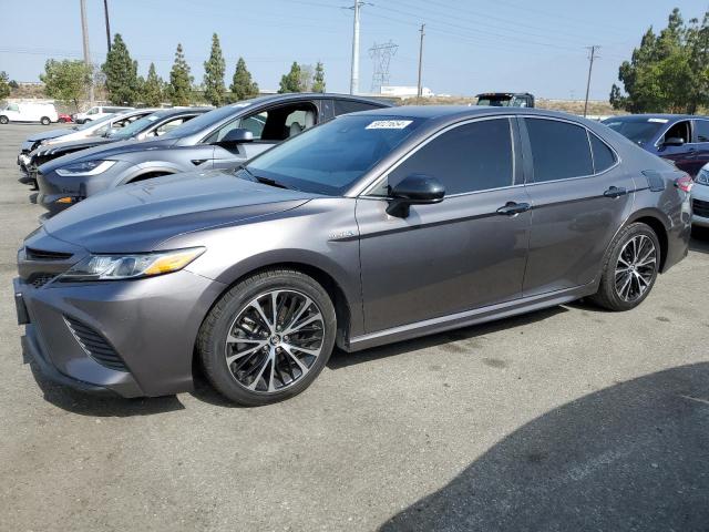 toyota camry hybr 2019 4t1b21hk3ku521297