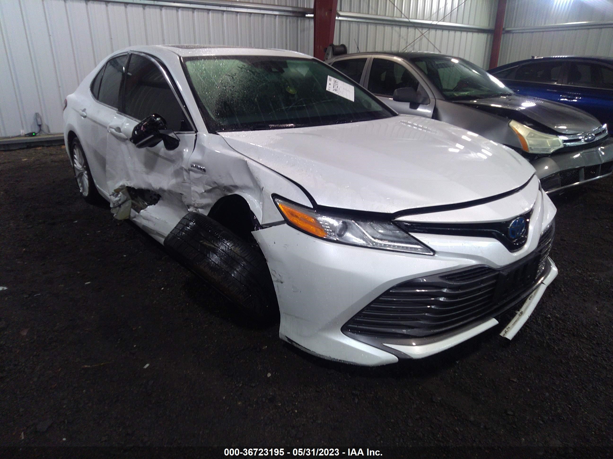 toyota camry 2019 4t1b21hk8ku510974