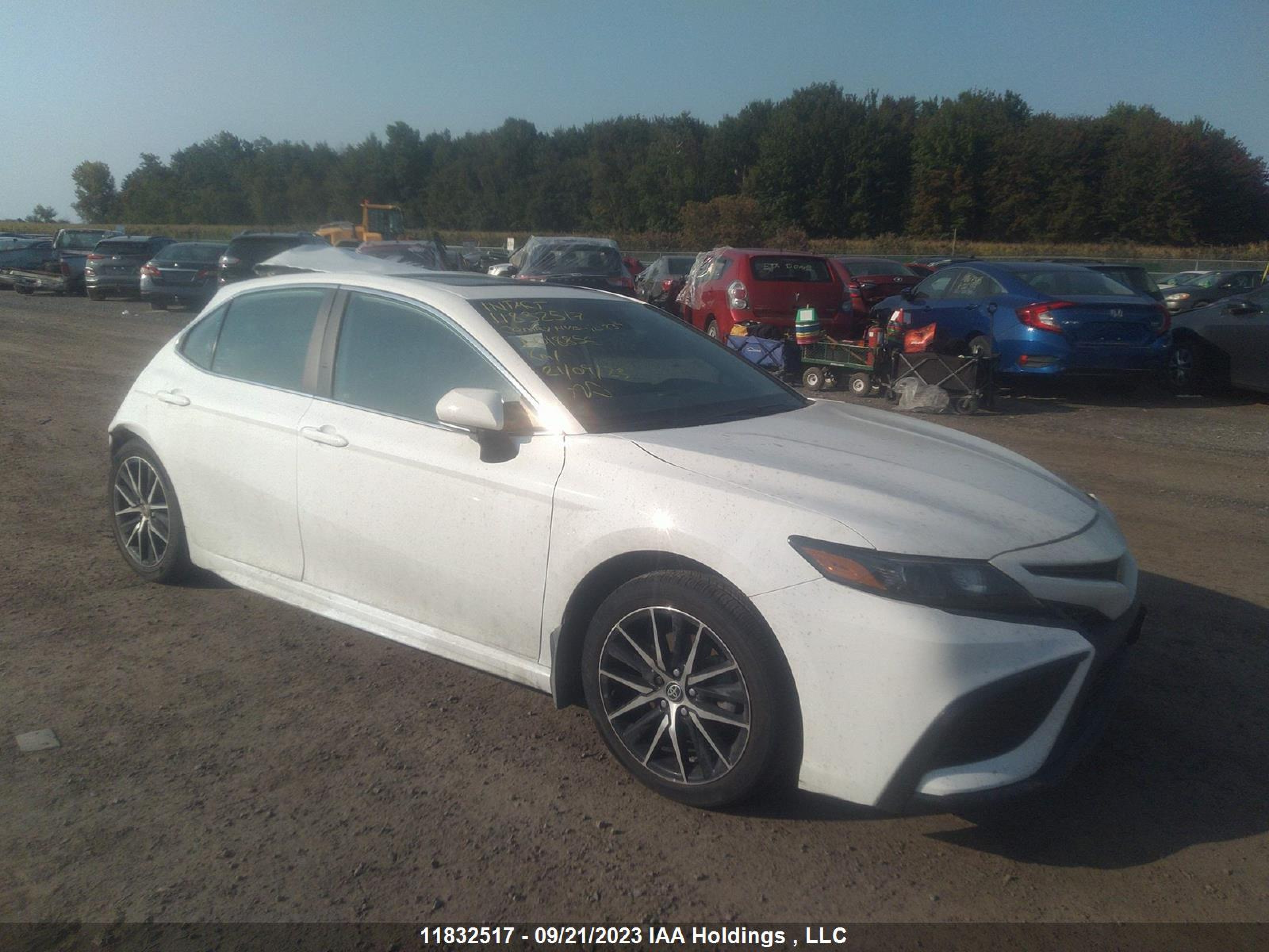 toyota camry 2023 4t1b21hk8pu018856