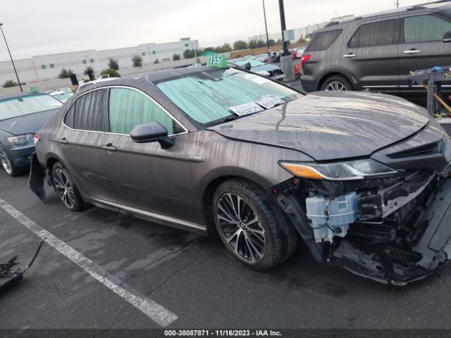 toyota camry hybrid 2019 4t1b21hkxku514993