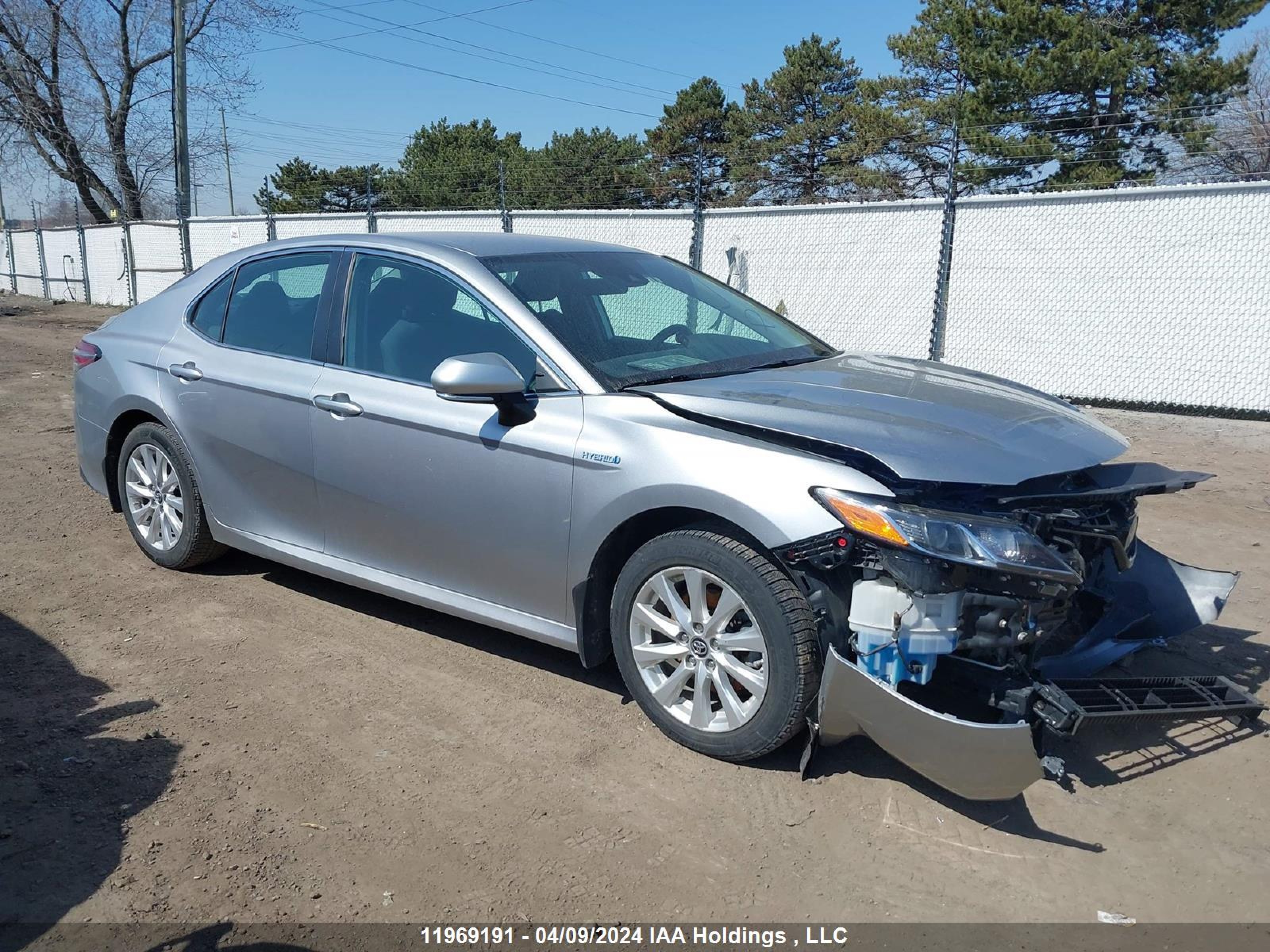 toyota camry 2019 4t1b31hk3ku509079