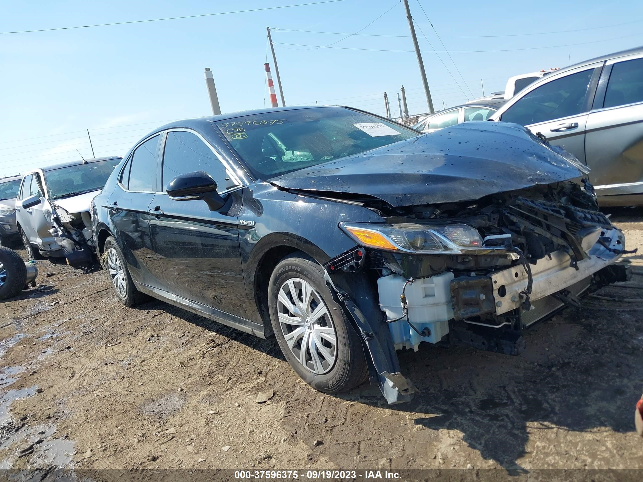 toyota camry 2019 4t1b31hk3ku516033