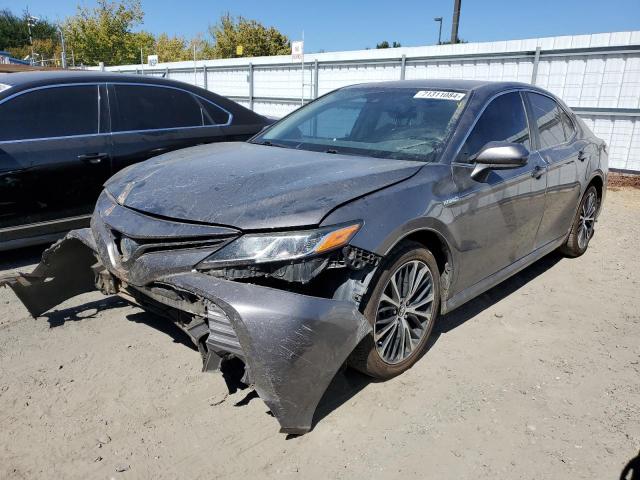 toyota camry le 2019 4t1b31hk4ku514923