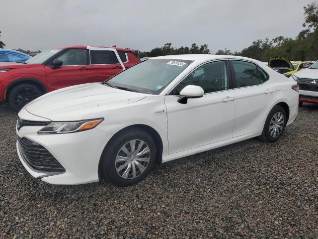 toyota camry le 2019 4t1b31hk6ku512574