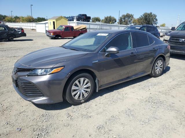 toyota camry le 2019 4t1b31hk7ku008843