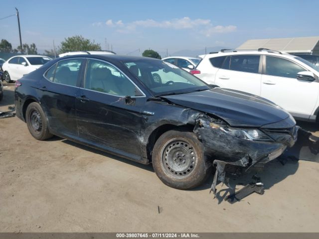 toyota camry 2019 4t1b31hk7ku513426