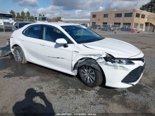 toyota camry 2019 4t1b31hk7ku516231