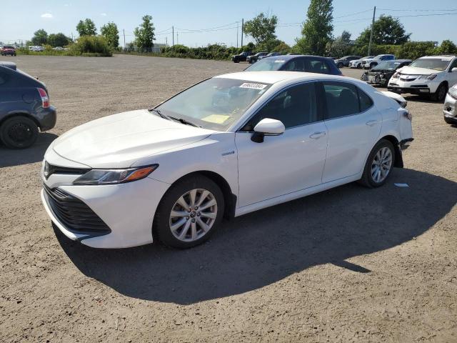 toyota camry le 2018 4t1b31hk9ju004100