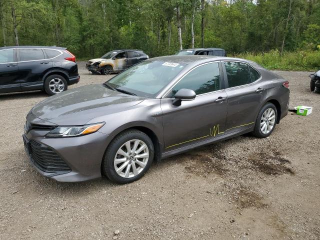 toyota camry le 2019 4t1b31hk9ku509670