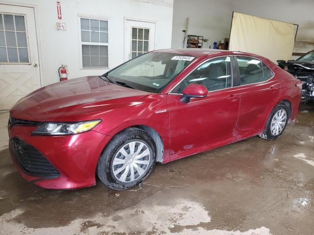 toyota camry le 2019 4t1b31hk9ku509944