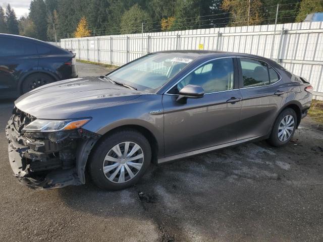 toyota camry le 2019 4t1b31hk9ku513282