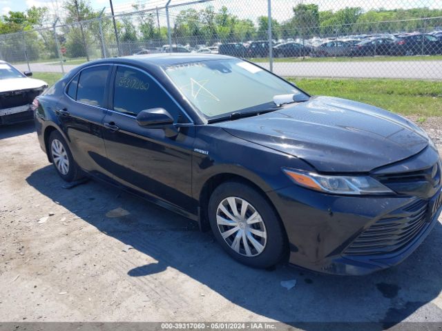 toyota camry hybrid 2019 4t1b31hkxku511542