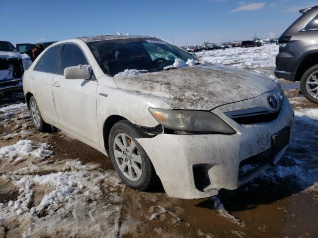 toyota camry hybr 2010 4t1bb3ek1au119034