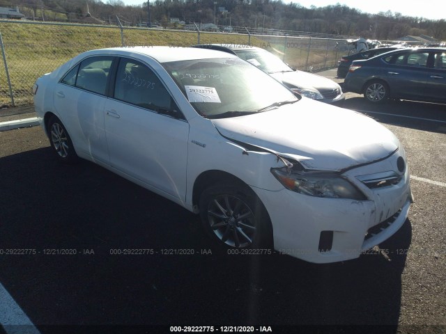 toyota camry hybrid 2010 4t1bb3ek8au121394