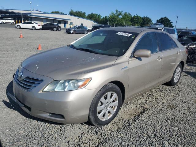 toyota camry 2009 4t1bb46k09u091422