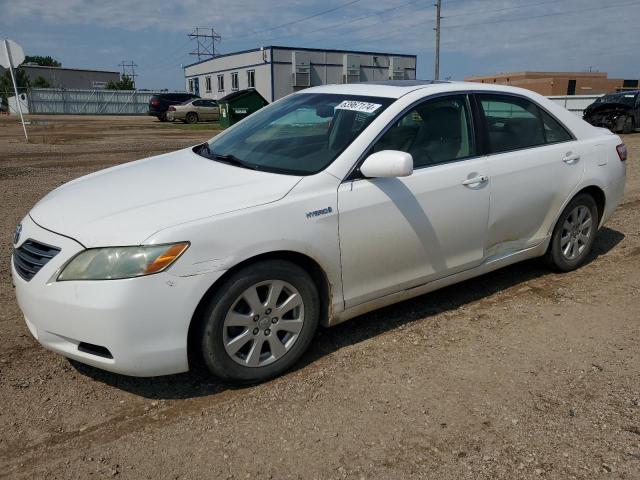 toyota camry 2009 4t1bb46k19u071454