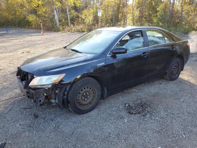 toyota camry hybr 2009 4t1bb46k79u064606