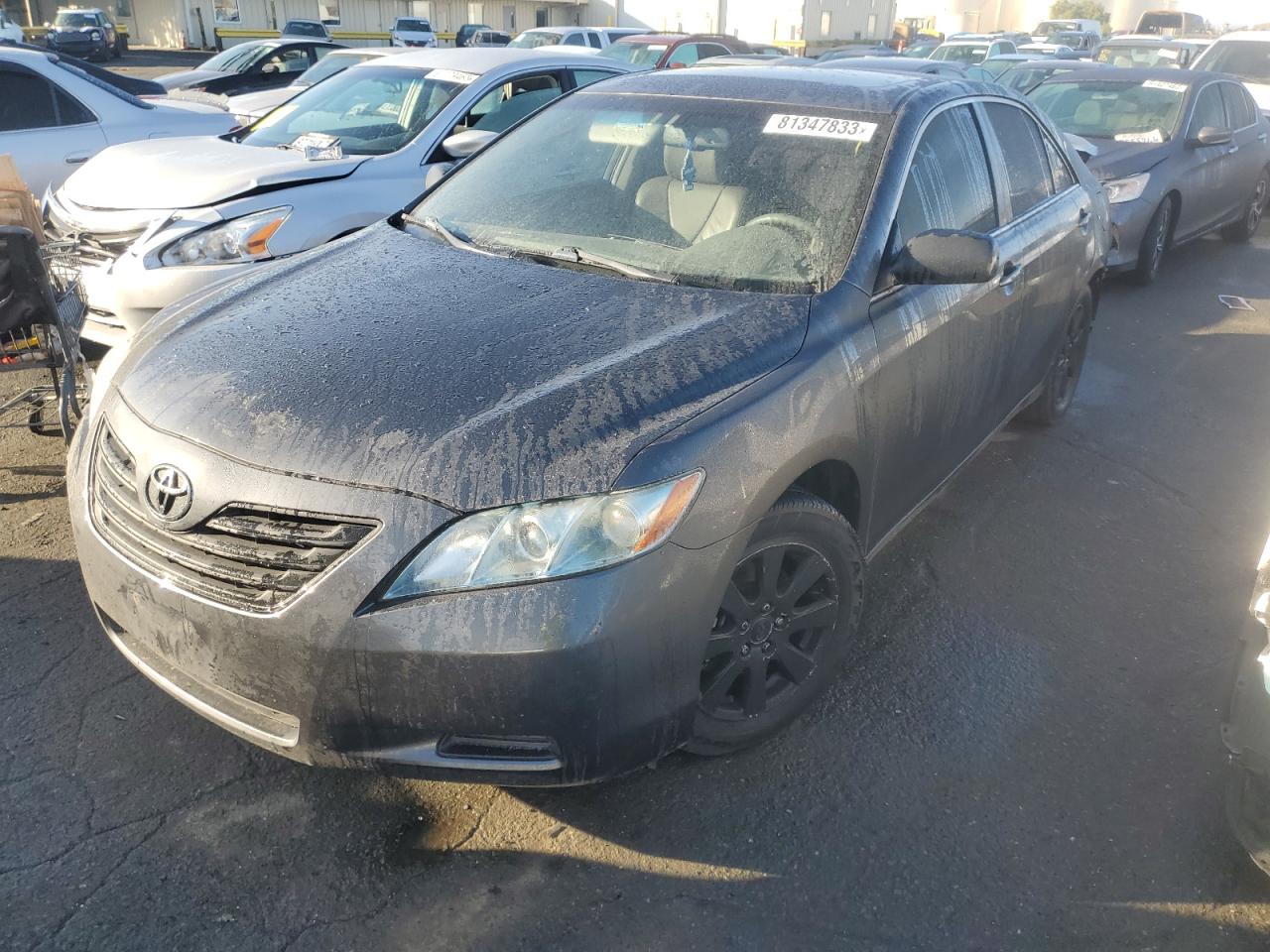 toyota camry 2009 4t1bb46k79u068526