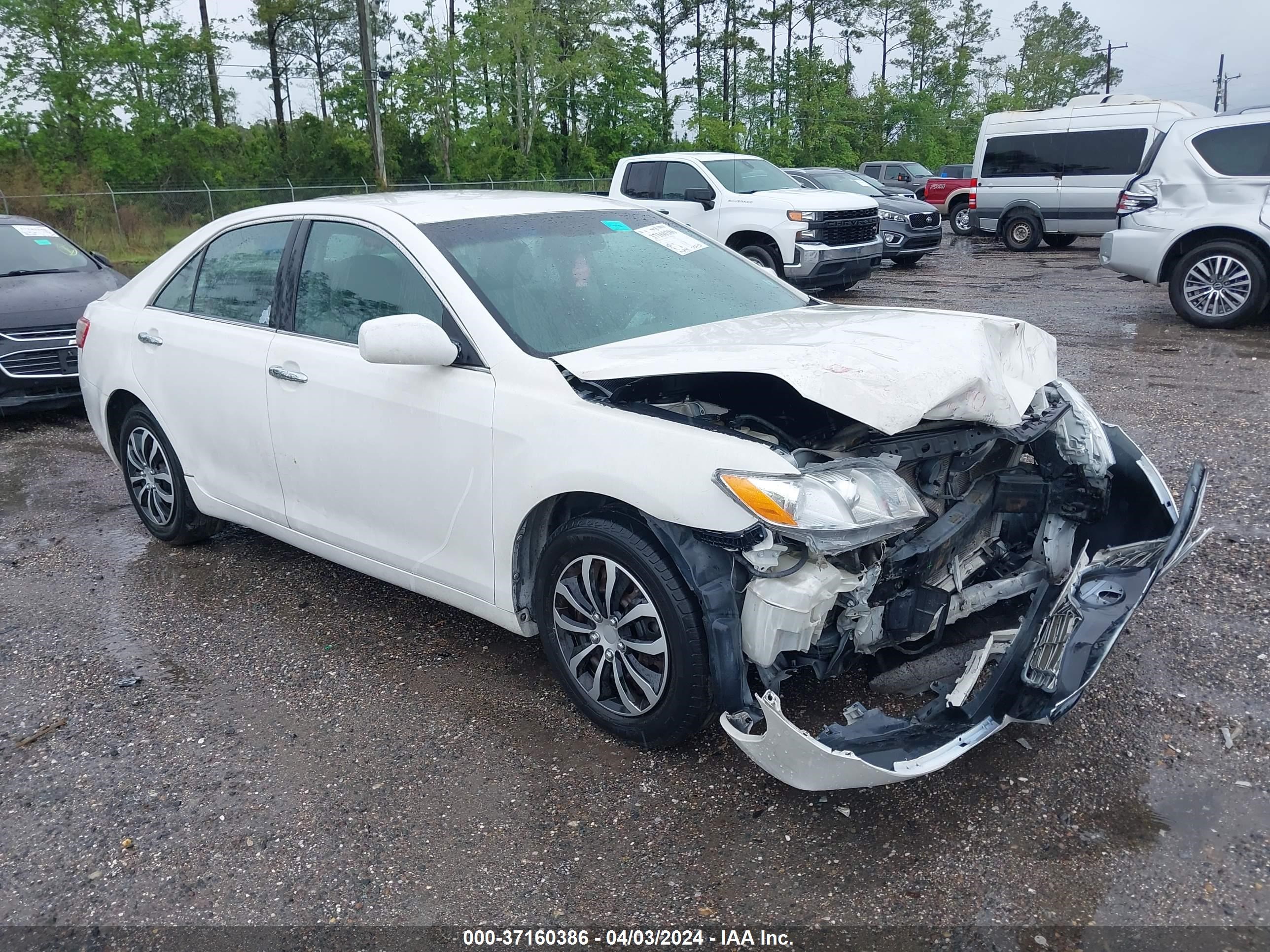 toyota camry 2009 4t1be46k39u813571