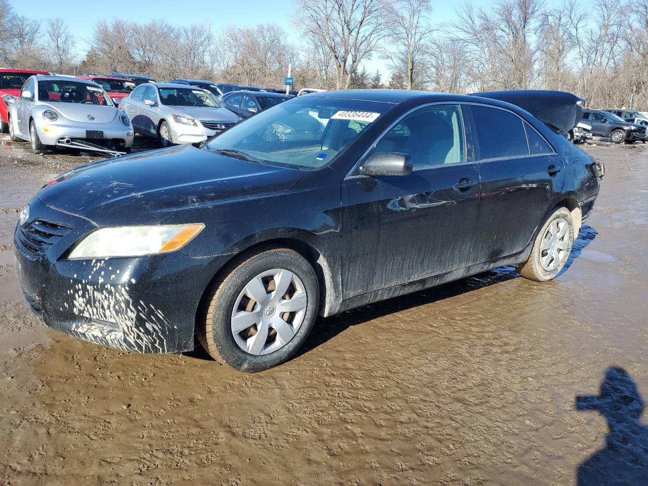 toyota camry 2009 4t1be46k39u833576