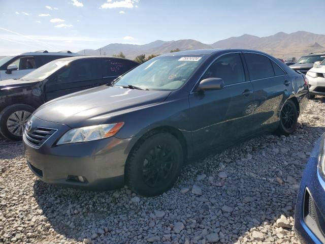 toyota camry base 2009 4t1be46k79u310917