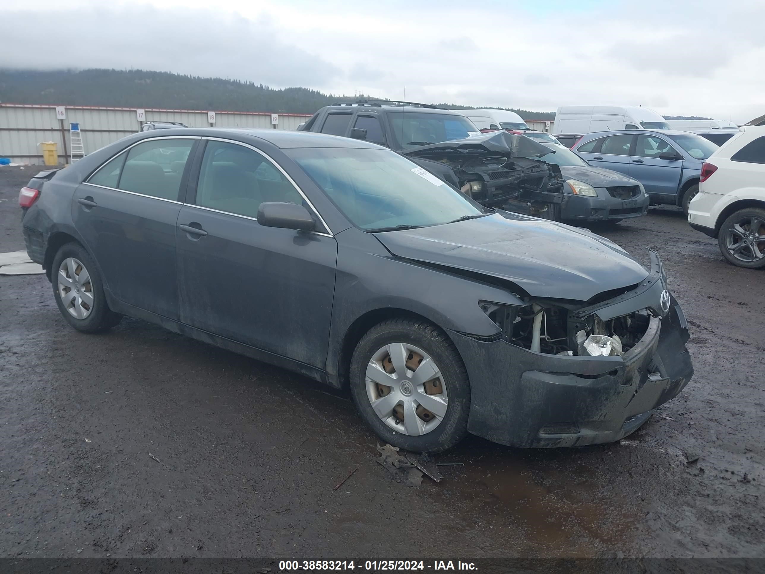 toyota camry 2009 4t1be46k89u341612