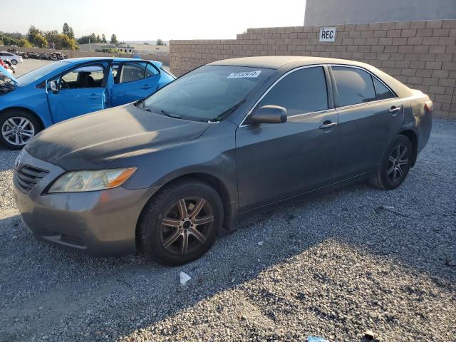 toyota camry base 2009 4t1be46k99u366213