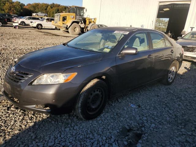 toyota camry base 2009 4t1be46k99u388096