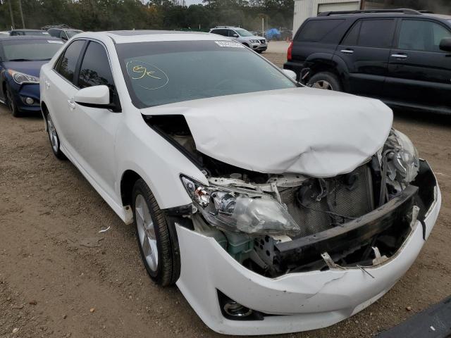 toyota camry l 2013 4t1bf1fk0du721340