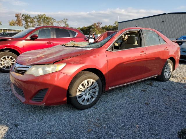 toyota camry l 2013 4t1bf1fk7du677028